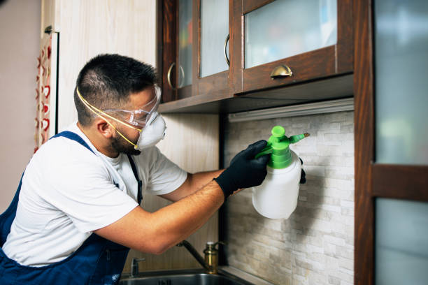 Best Pest Control Cost  in North Hornell, NY