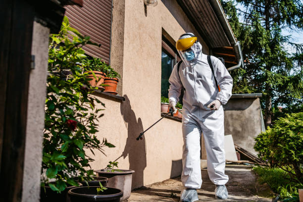 Wasp Removal Services in North Hornell, NY