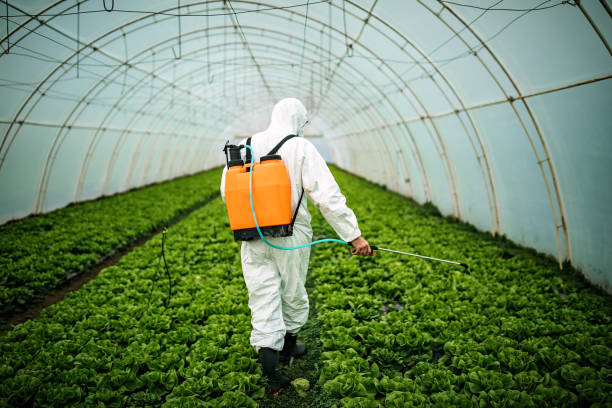 Best Affordable Pest Control Services  in North Hornell, NY