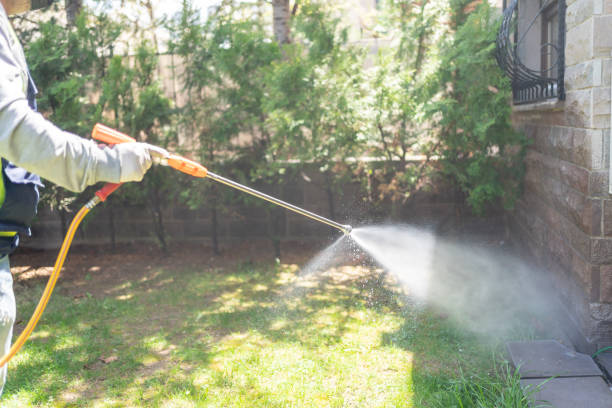 Best Pest Prevention Services  in North Hornell, NY