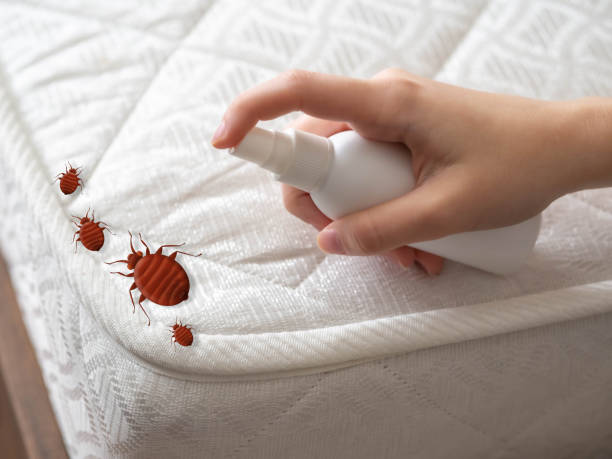 Best Commercial Pest Control Services  in North Hornell, NY