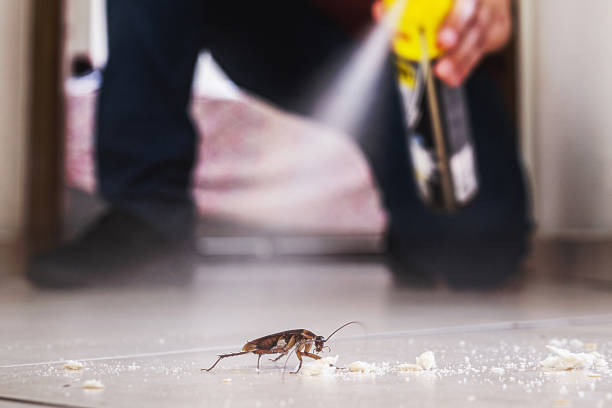 Pest Control for Restaurants in North Hornell, NY