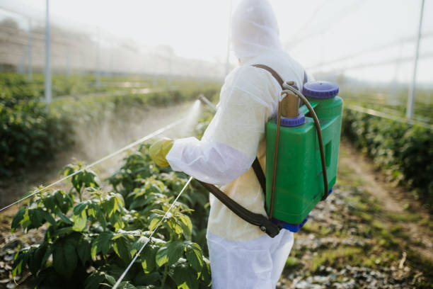 Best Mosquito Control Services  in North Hornell, NY